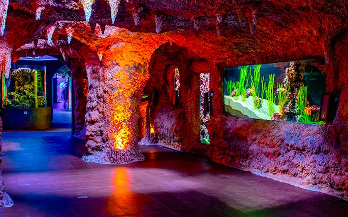 Butterfly + National Aquarium